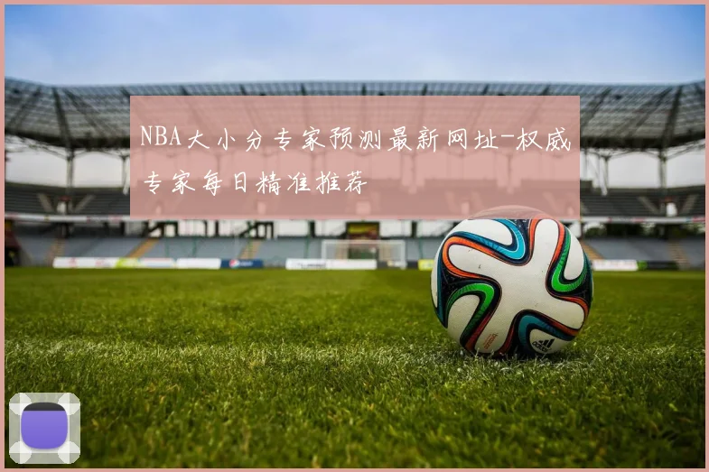 NBA大小分专家预测最新网址-权威专家每日精准推荐